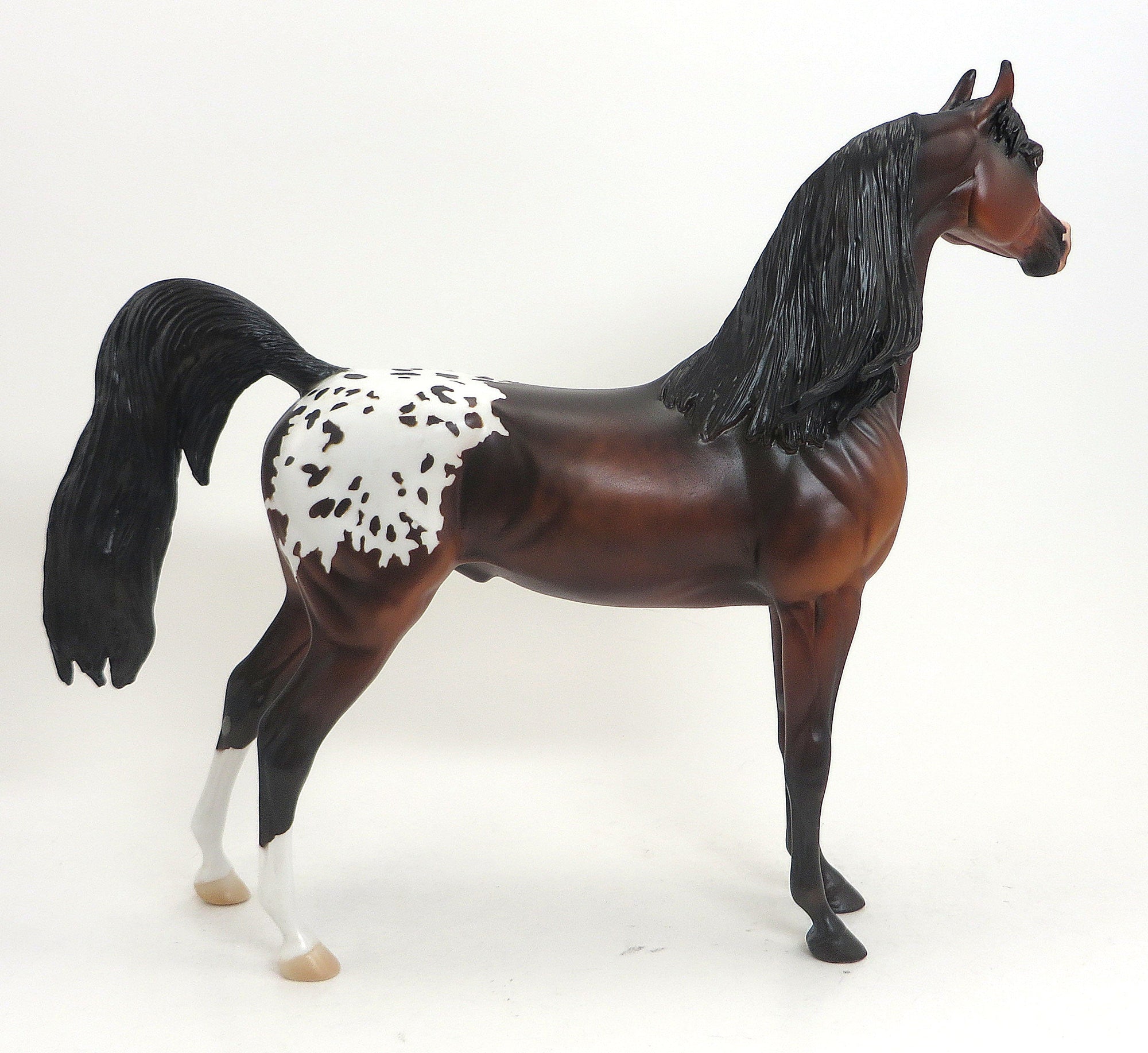 ANONA- OOAK Dappled Bay Blanket Appaloosa Arabian 9/11