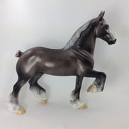 ATLAS - OOAK TROTTING DRAFTER