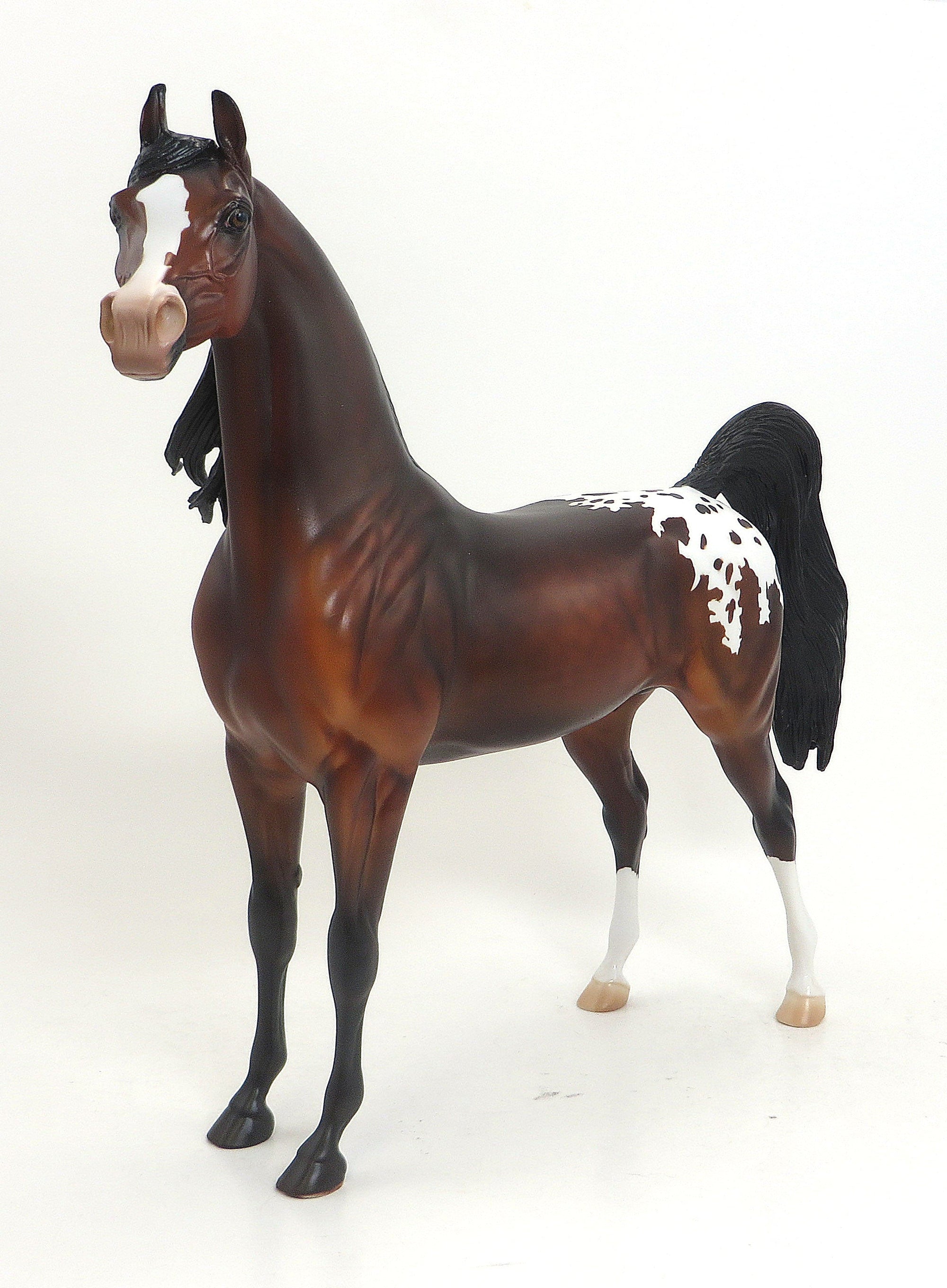 ANONA- OOAK Dappled Bay Blanket Appaloosa Arabian 9/11