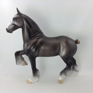 ATLAS - OOAK TROTTING DRAFTER