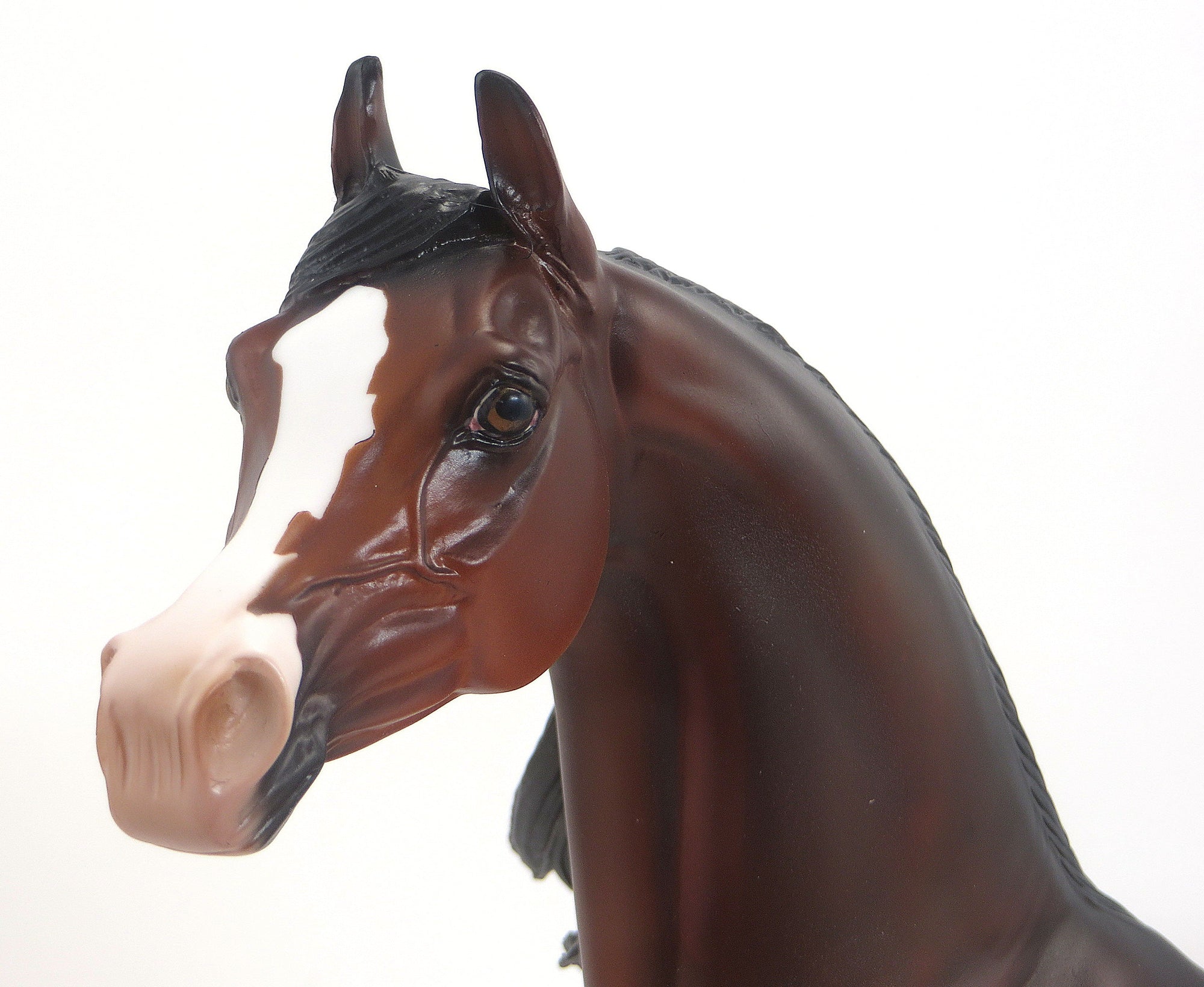 ANONA- OOAK Dappled Bay Blanket Appaloosa Arabian 9/11