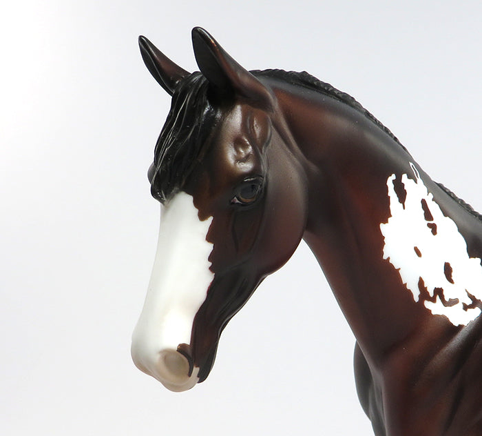 bay paint  peter stone 