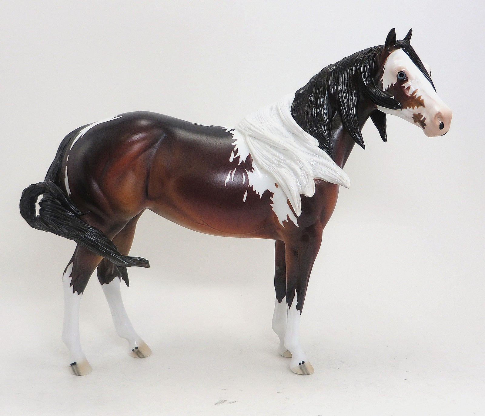 ARIADANE- LE 3 Seal Bay Paint Stock Horse Mare - 9/11