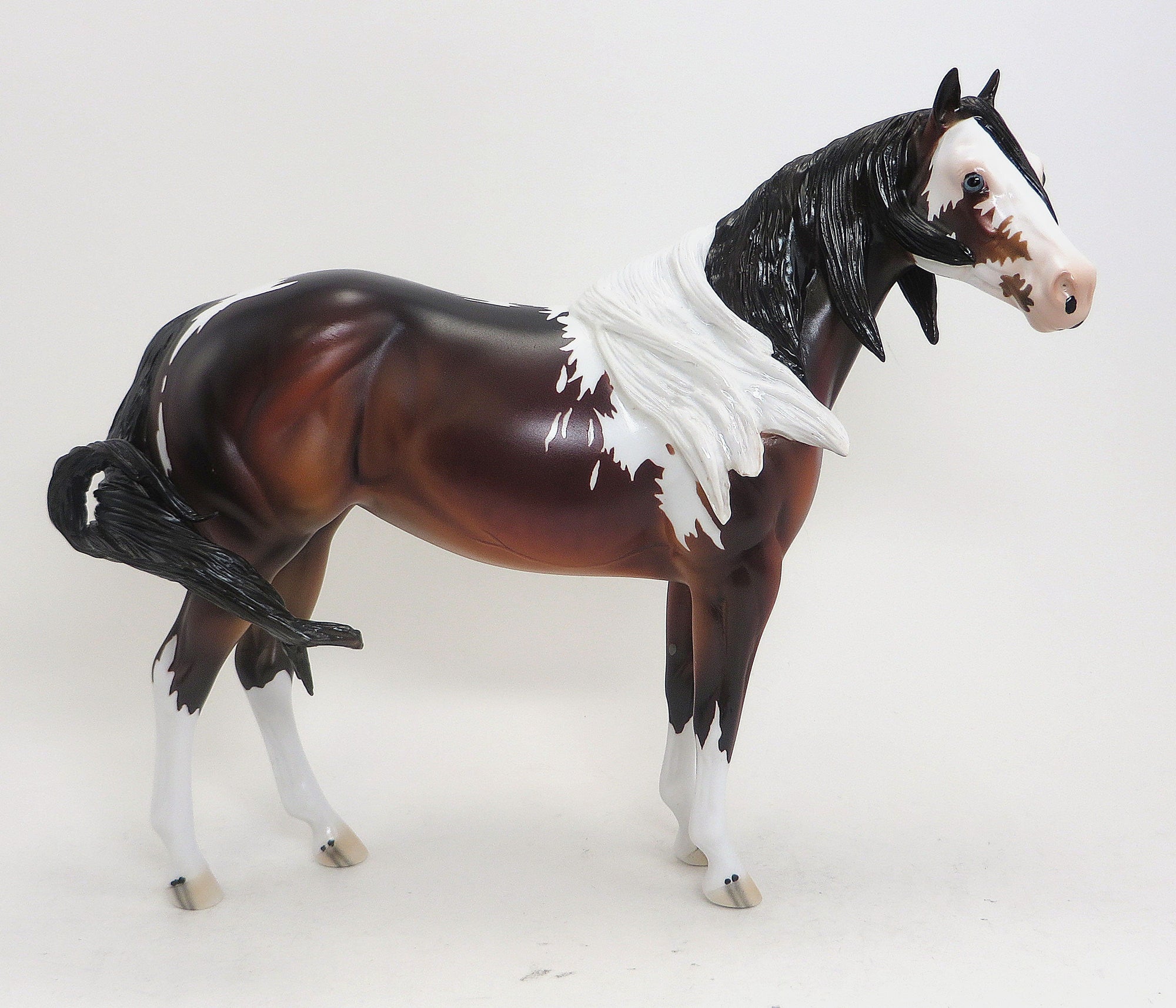 ARIADANE- LE 3 Seal Bay Paint Stock Horse Mare - 9/11