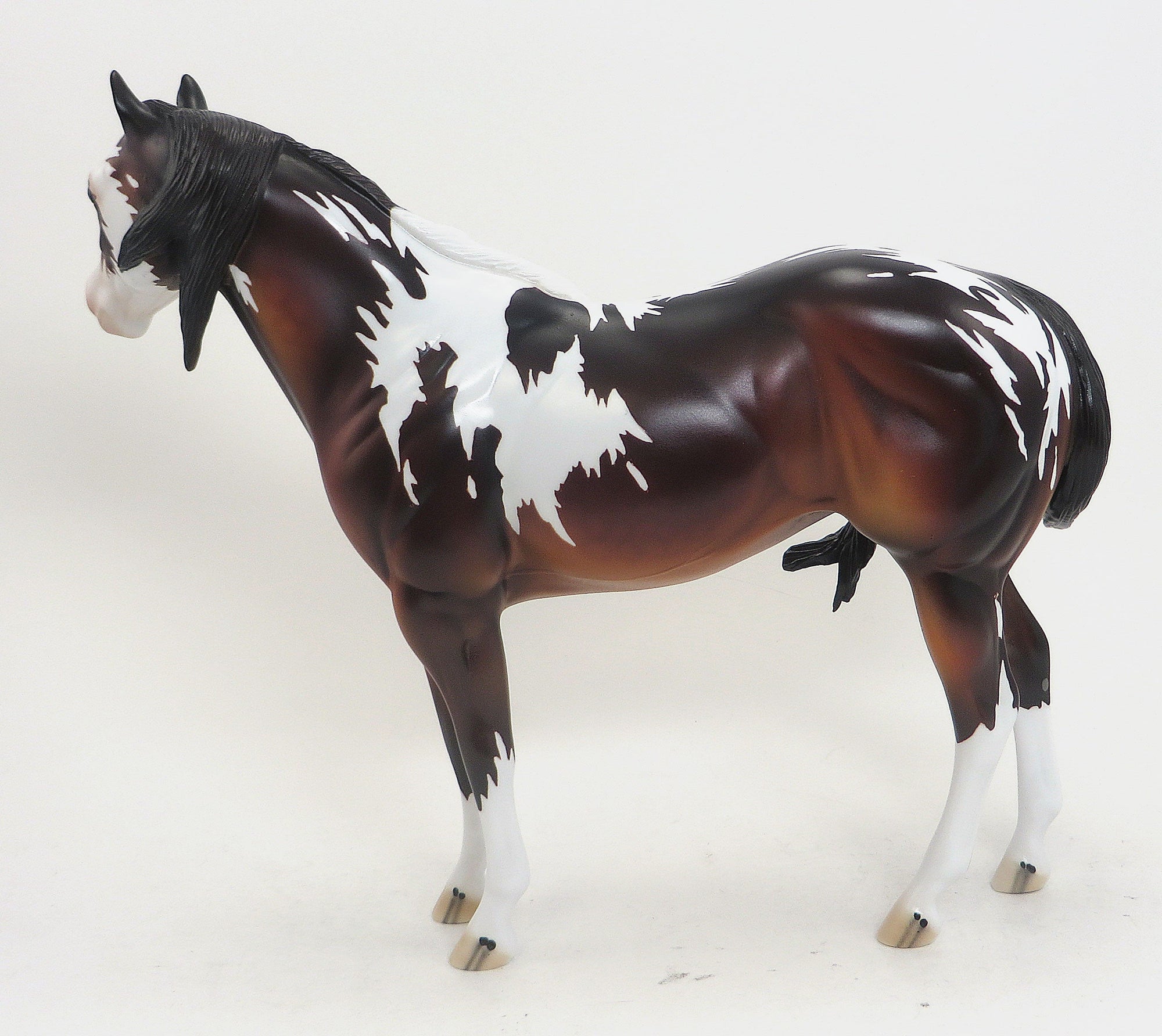 ARIADANE- LE 3 Seal Bay Paint Stock Horse Mare - 9/11