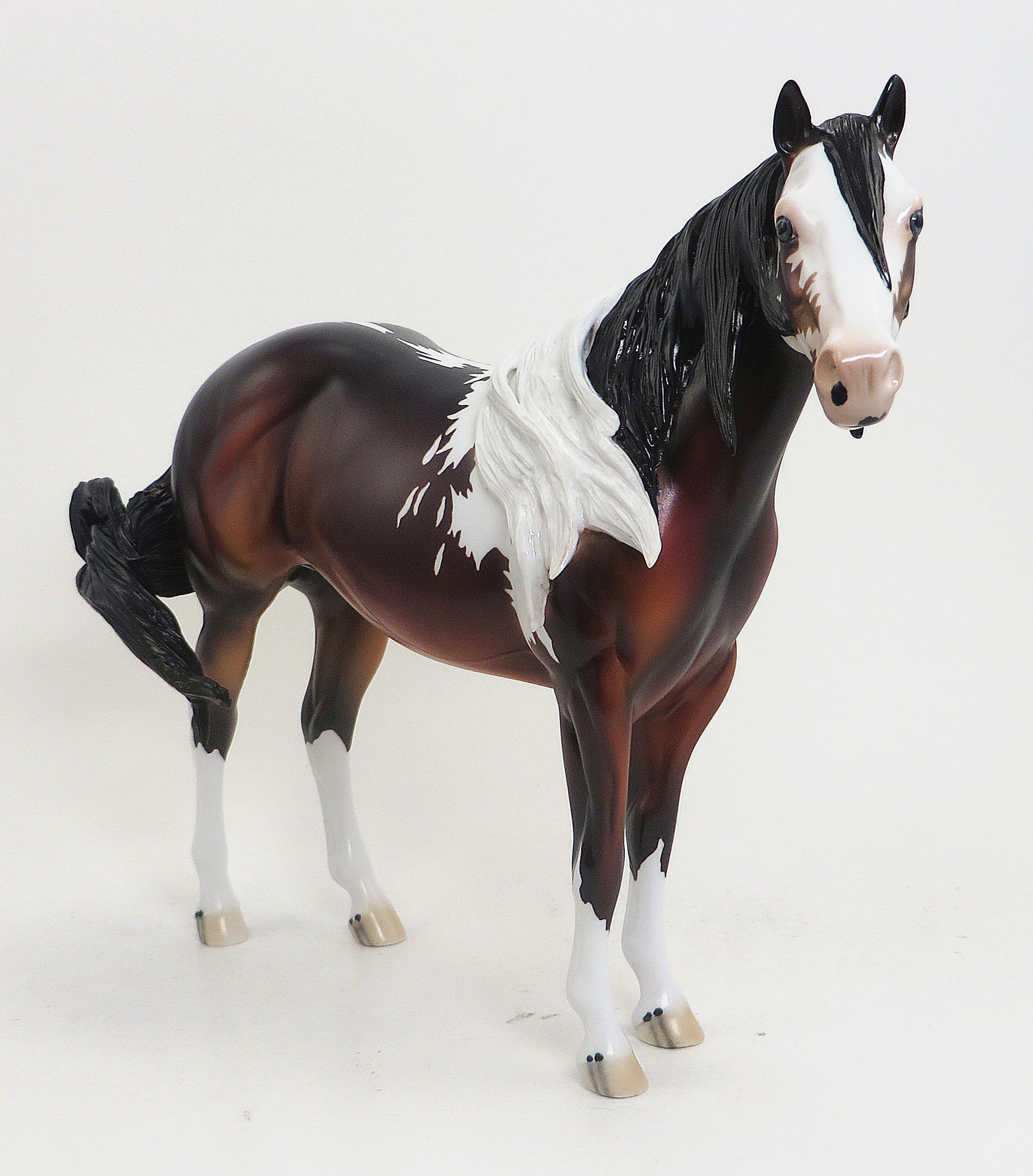 ARIADANE- LE 3 Seal Bay Paint Stock Horse Mare - 9/11