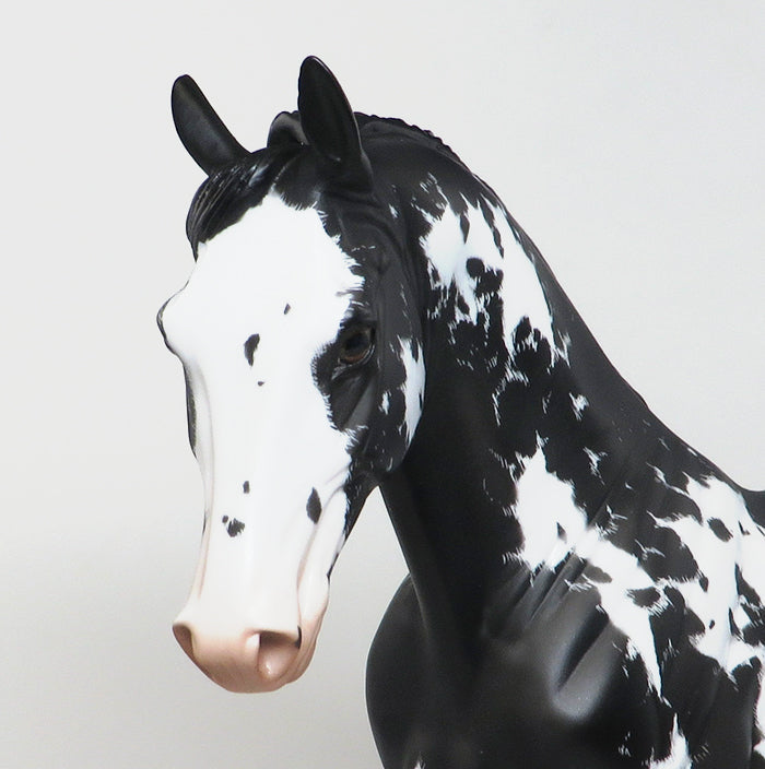 sabino tennessee walker