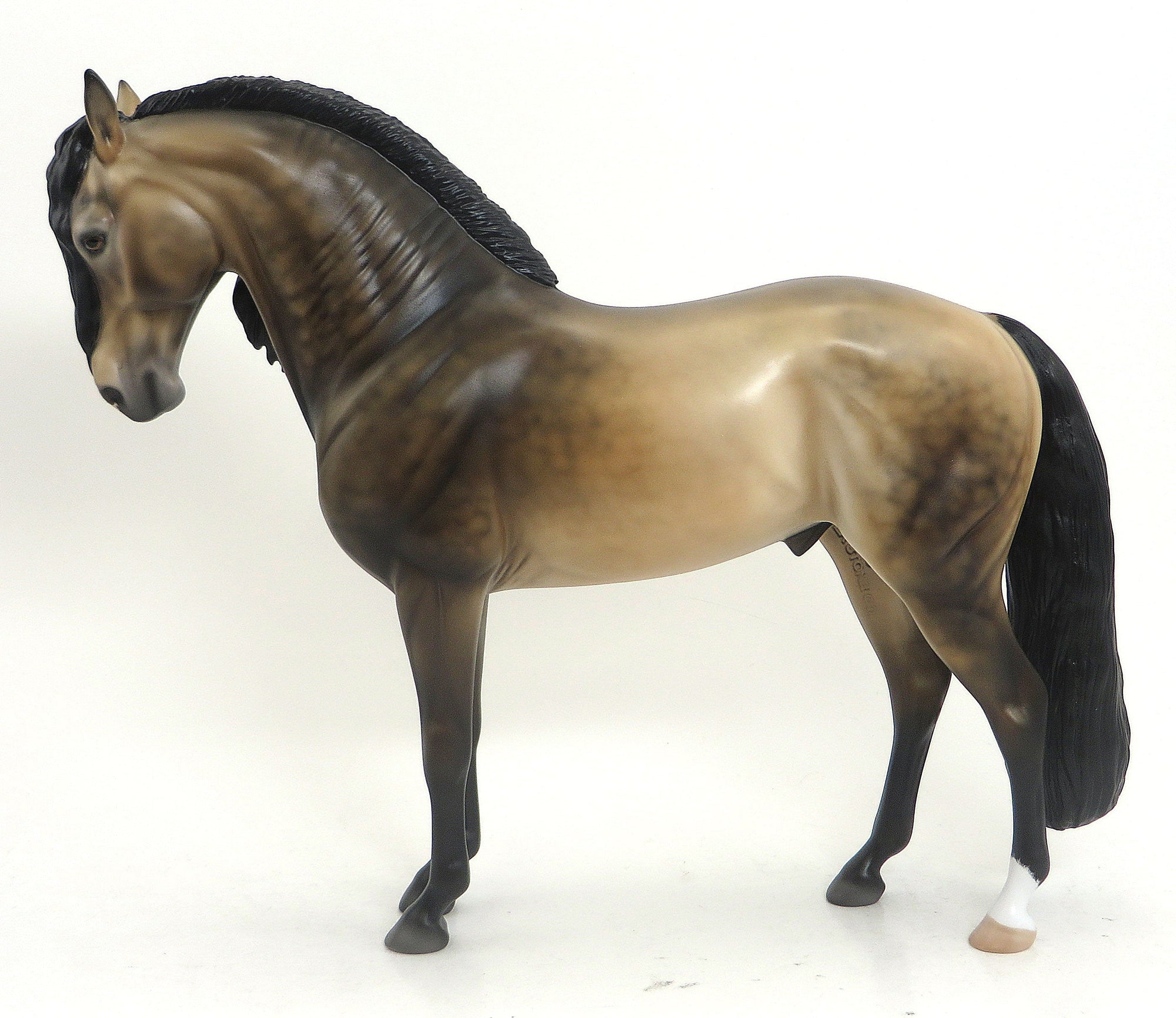 AURELIA - OOAK SOOTY DAPPLED BUCKSKIN IBERIAN - 9/11