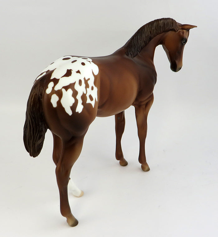 Appaloosa
