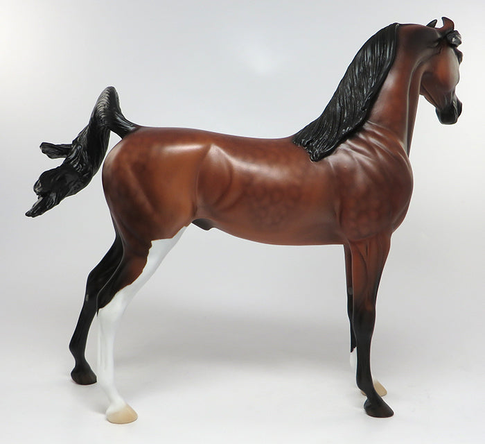 DR. PEPPER-OOAK DAPPLE BAY ARABIAN MODEL HORSE 6/15