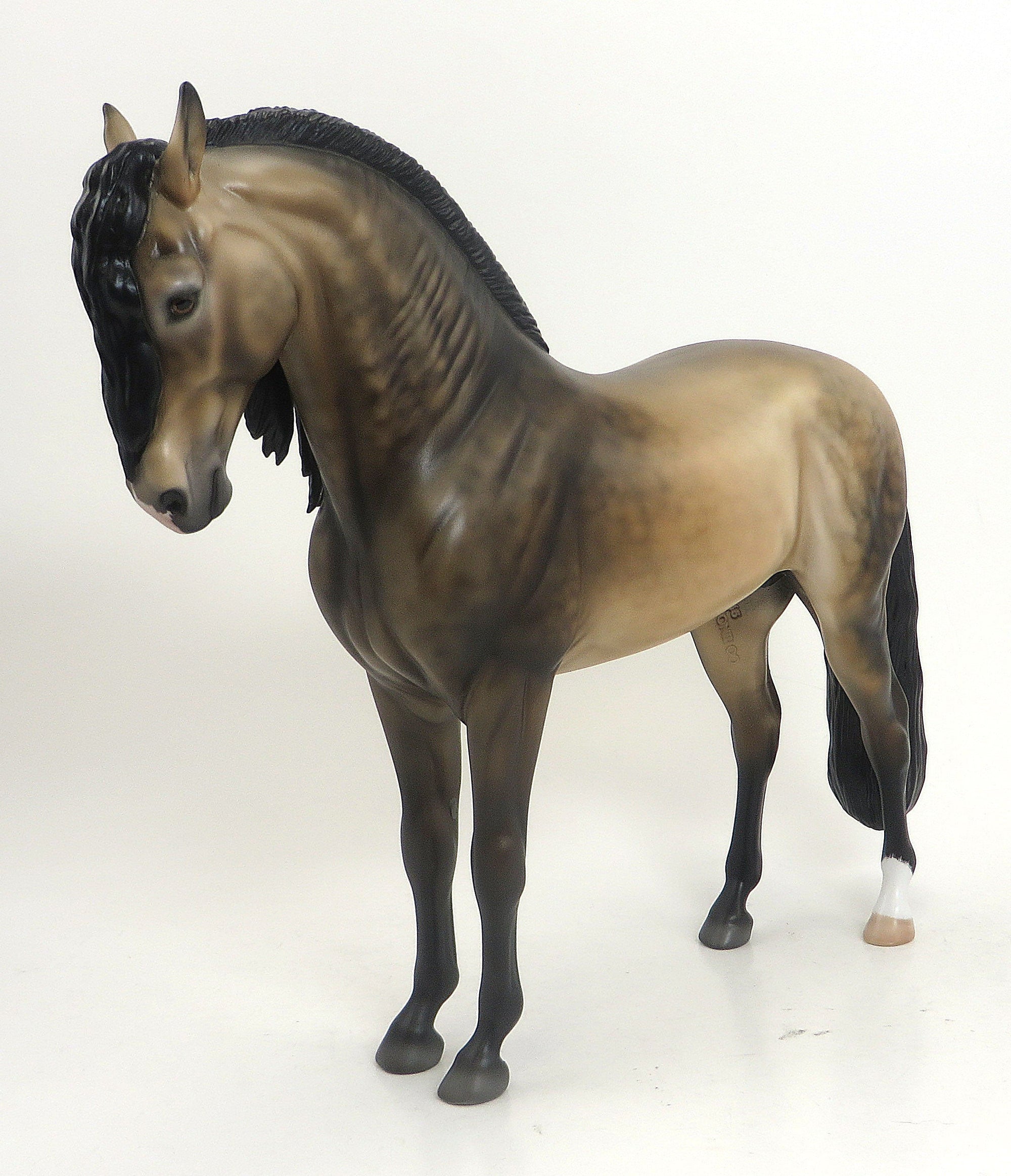 AURELIA - OOAK SOOTY DAPPLED BUCKSKIN IBERIAN - 9/11