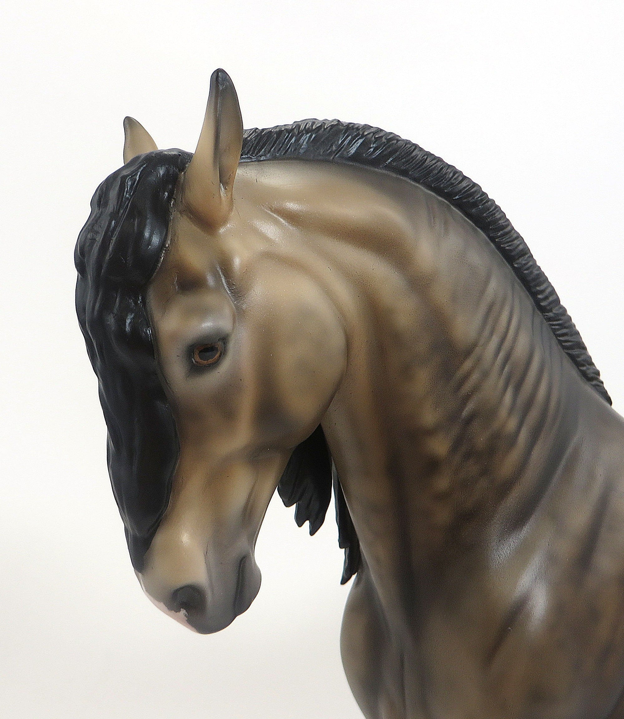 AURELIA - OOAK SOOTY DAPPLED BUCKSKIN IBERIAN - 9/11