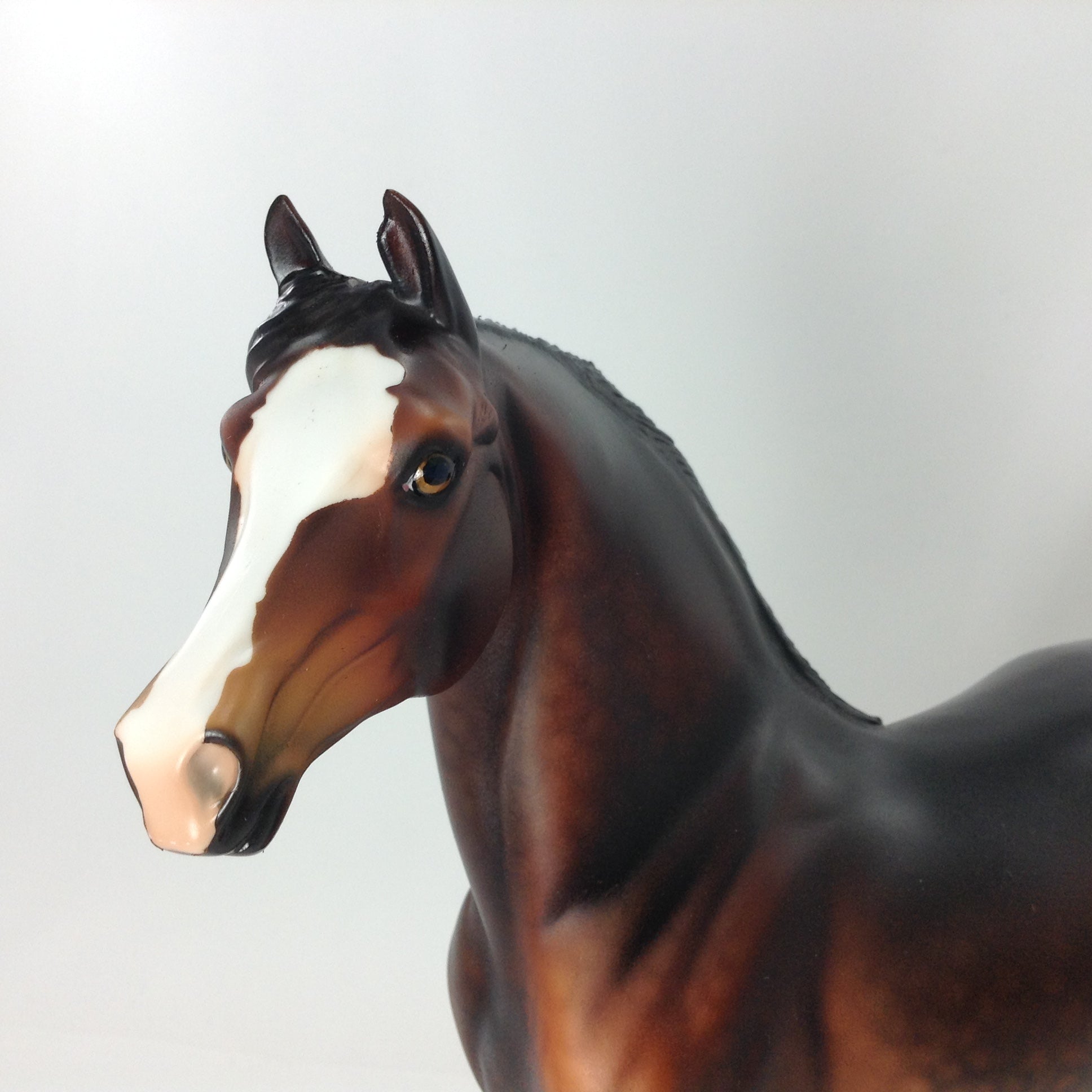 CYRUS - OOAK MORGAN MODEL HORSE