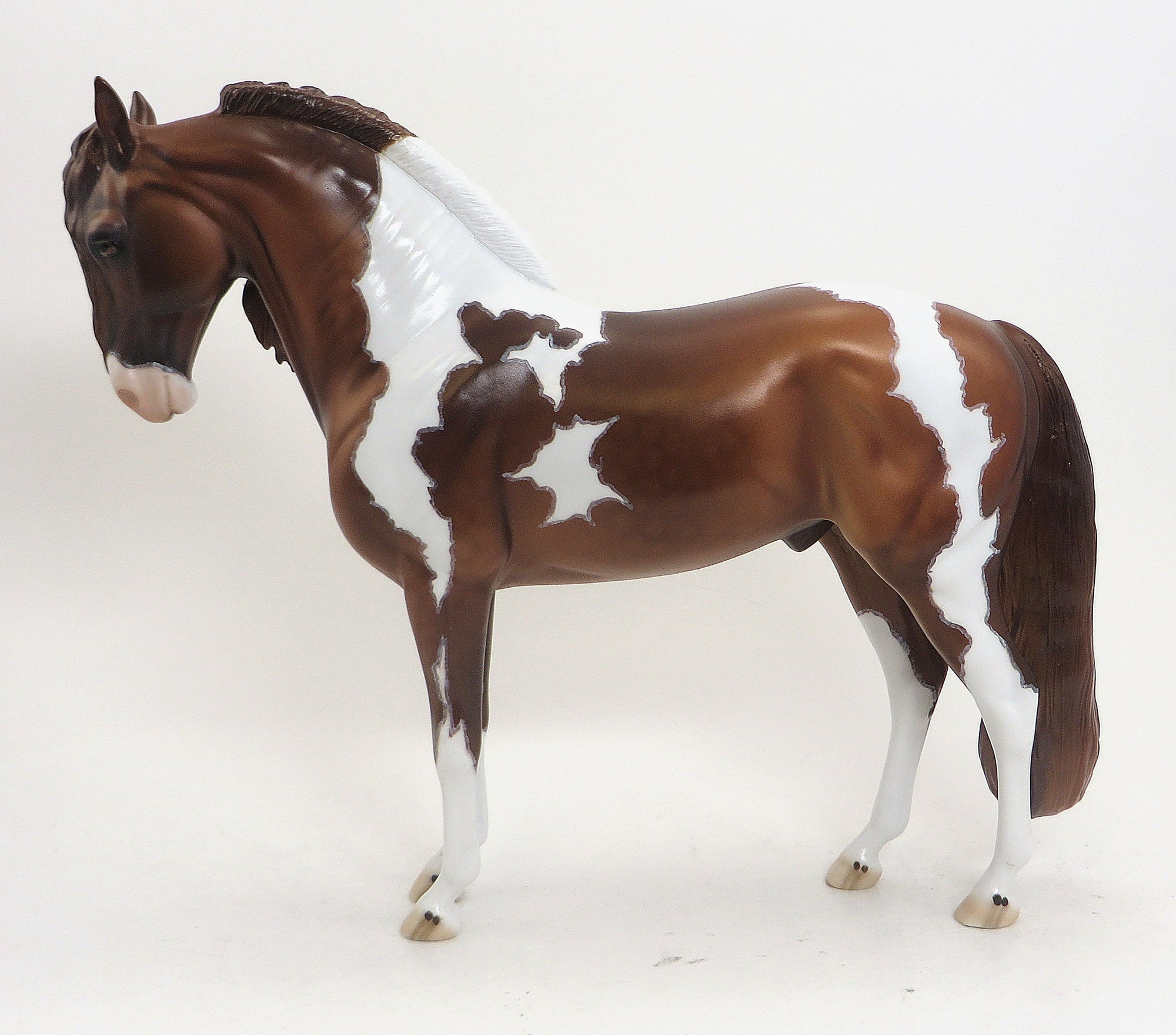 BIRCH - OOAK CHESTNUT PAINT IBERIAN - 9/11