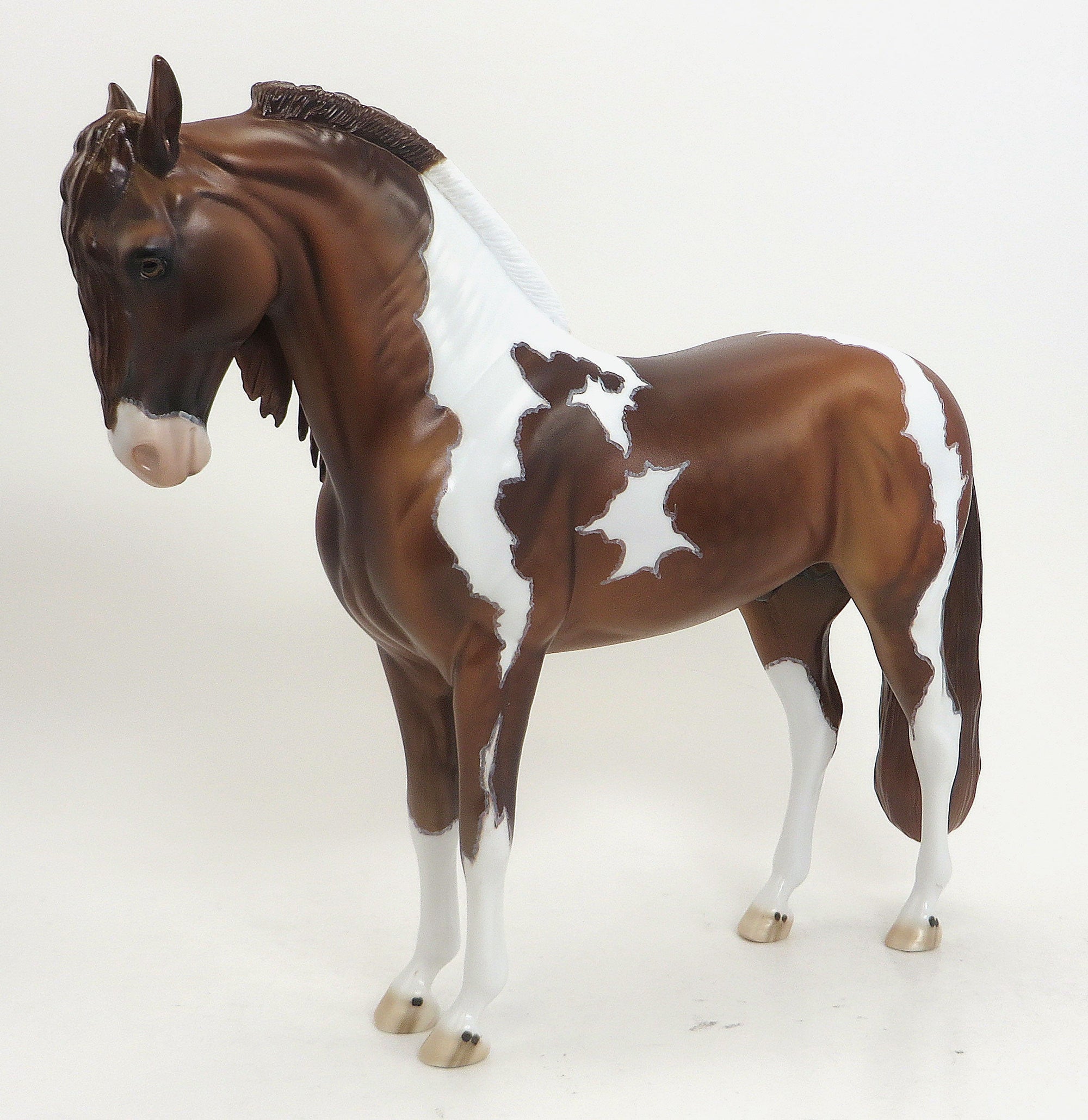 BIRCH - OOAK CHESTNUT PAINT IBERIAN - 9/11