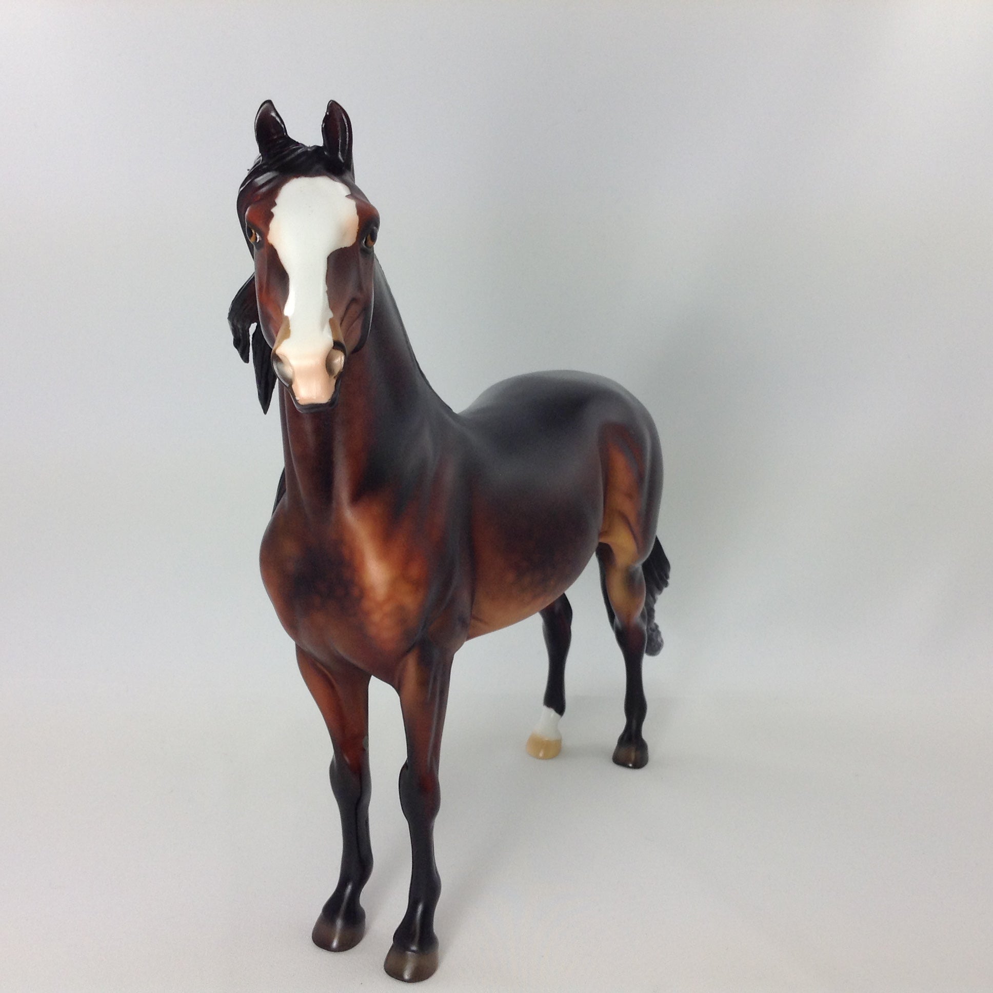 CYRUS - OOAK MORGAN MODEL HORSE