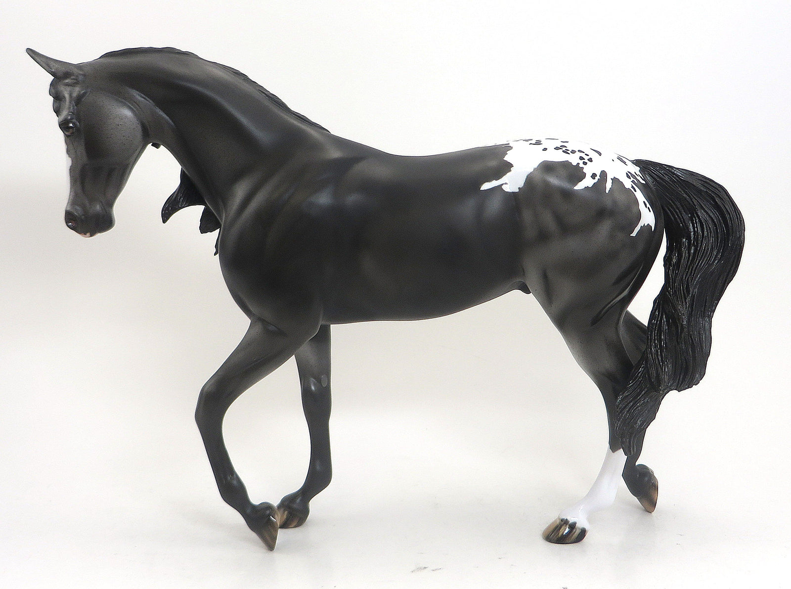 HERMES- OOAK Dappled Blue Roan Blanket Appaloosa Thoroughbred  9/11