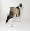 paint buckskin