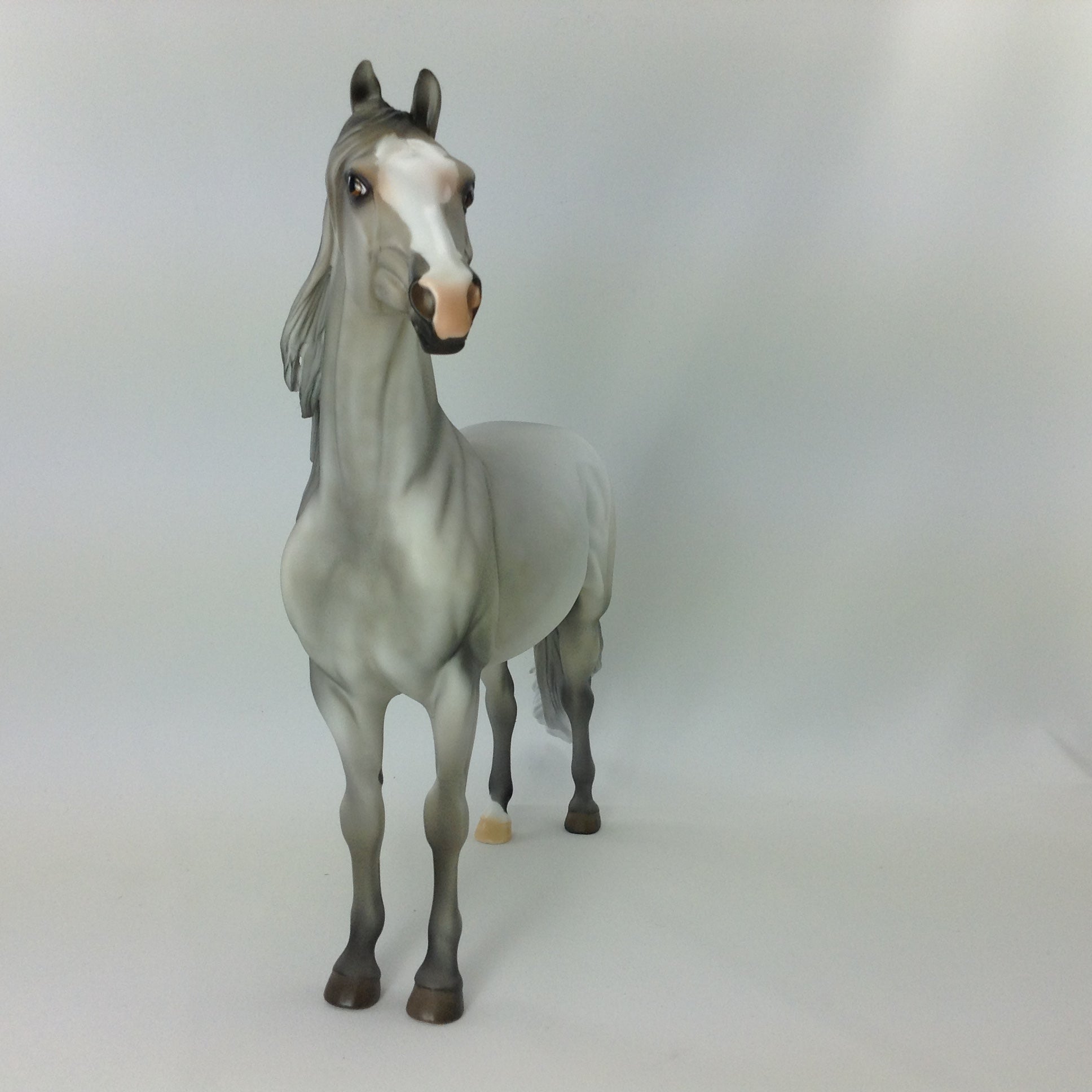CARMINE - OOAK MORGAN MODEL HORSE