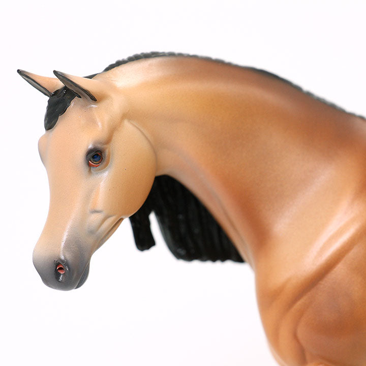 ACERRA - Arabian Model Horse