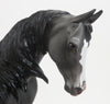 HERMES- OOAK Dappled Blue Roan Blanket Appaloosa Thoroughbred  9/11