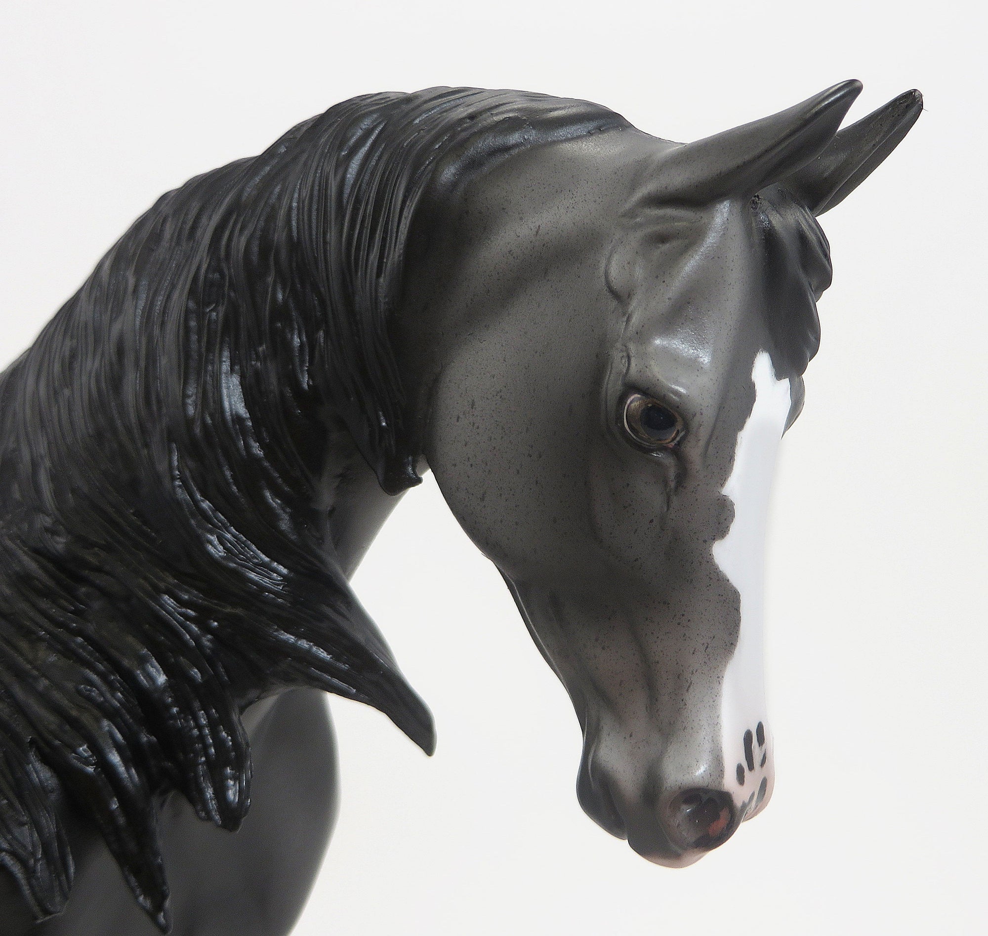 HERMES- OOAK Dappled Blue Roan Blanket Appaloosa Thoroughbred  9/11