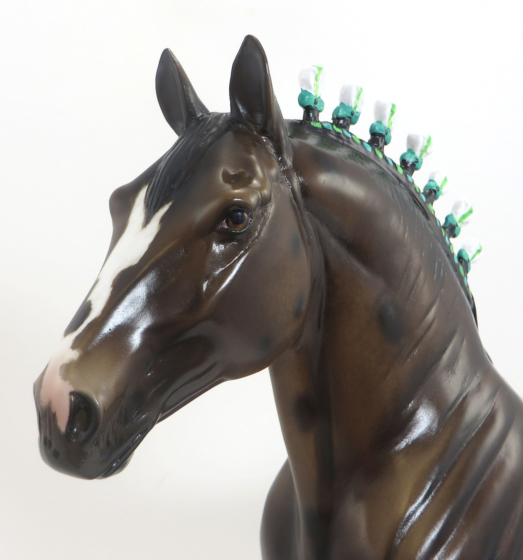 DIGGER-BROWN BAY APPALOOSA STANDING DRAFTER 9/11