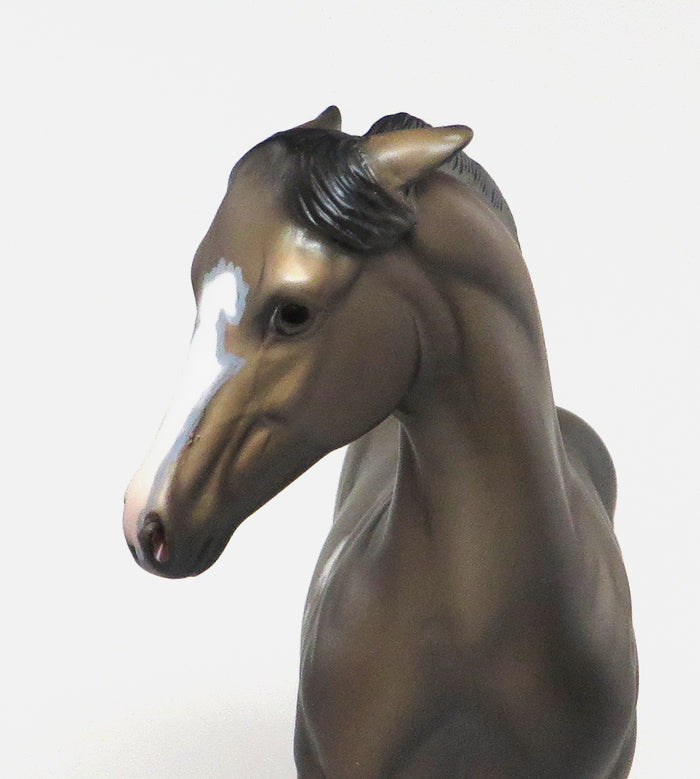 Weanling Model Horse