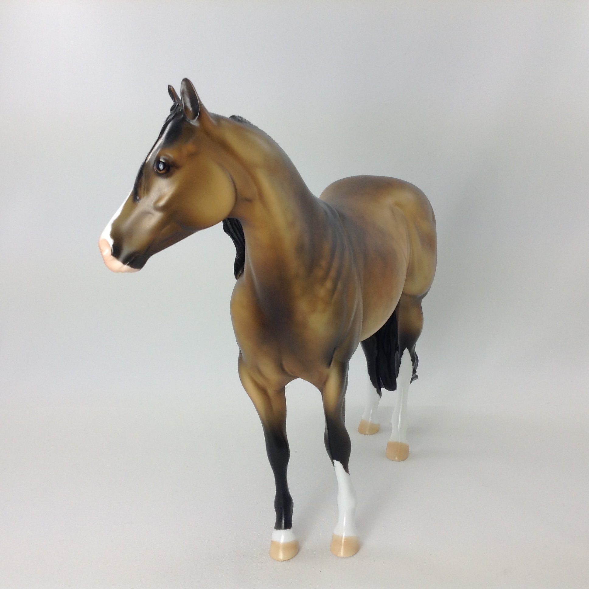 PILGRIM  OOAK STALLION STOCK HORSE