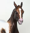 CHERRY BOBBI SOX - OOAK  Chestnut Roan Appaloosa Yearling Model Horse - 11/15