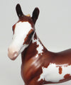 foal