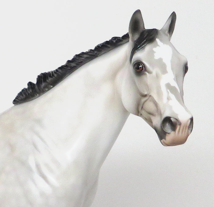 custom dapple grey model horse