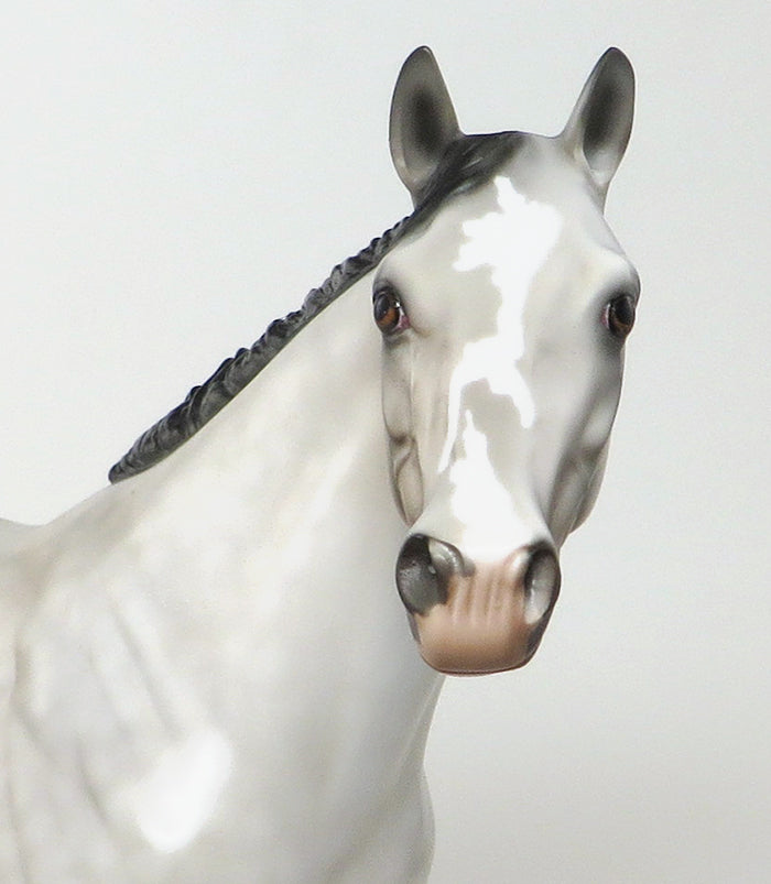 IE MANIA - OOAK Dapple Grey ISH Model Horse - 11/15