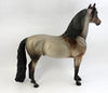 Morgan Horse