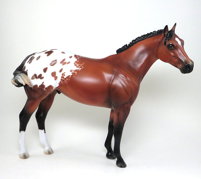 high and mighty ish appaloosa ish