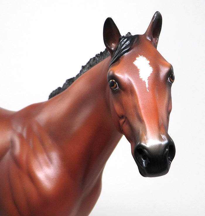 HIGH AND MIGHTY - OOAK BAY ETCHED APPALOOSA ISH by SHEILA BISHOP - 1/22