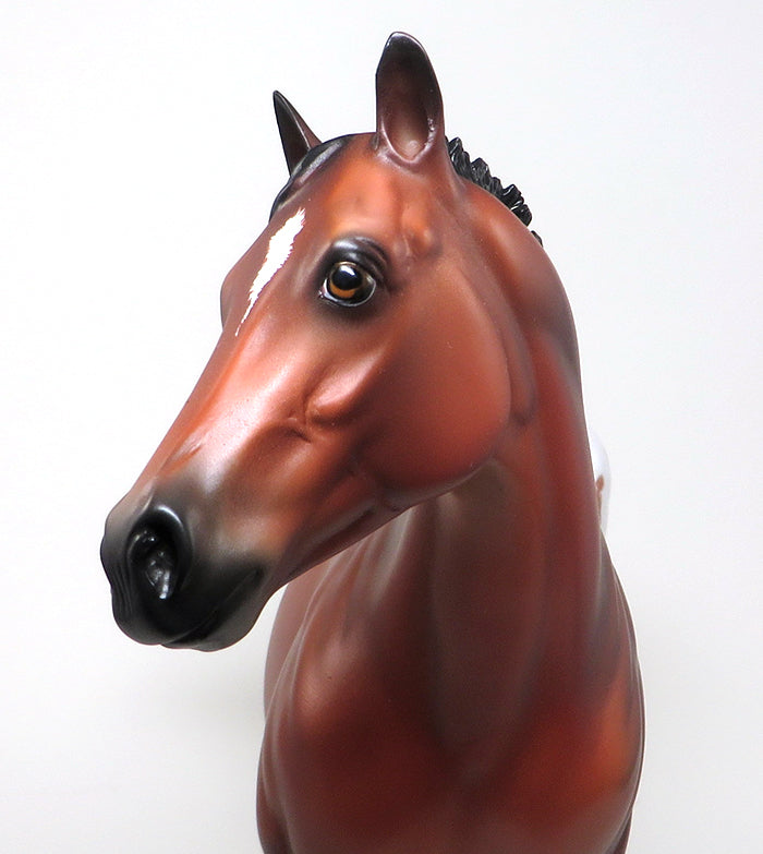 HIGH AND MIGHTY - OOAK BAY ETCHED APPALOOSA ISH by SHEILA BISHOP - 1/22