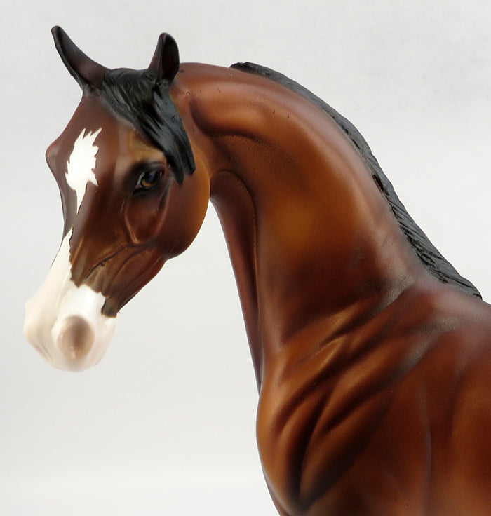 ZIPLIN-OOAK BAY ARABIAN MODEL HORSE BY DAWN QUICK 11/23/16