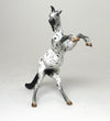 APPALOOSA CHIP 