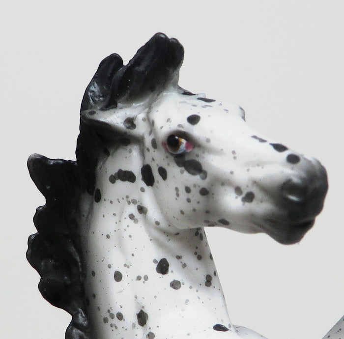 APPALOOSA REARING CHIP