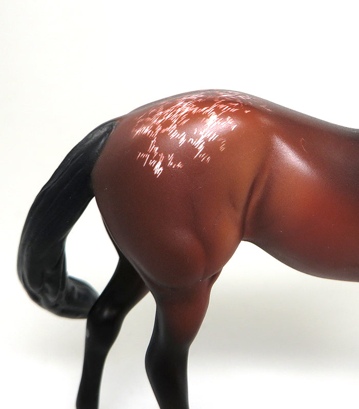 JUST CAUSE - OOAK BAY APPALOOSA STOCK HORSE CHIPS by SHEILA BISHOP - 1/25