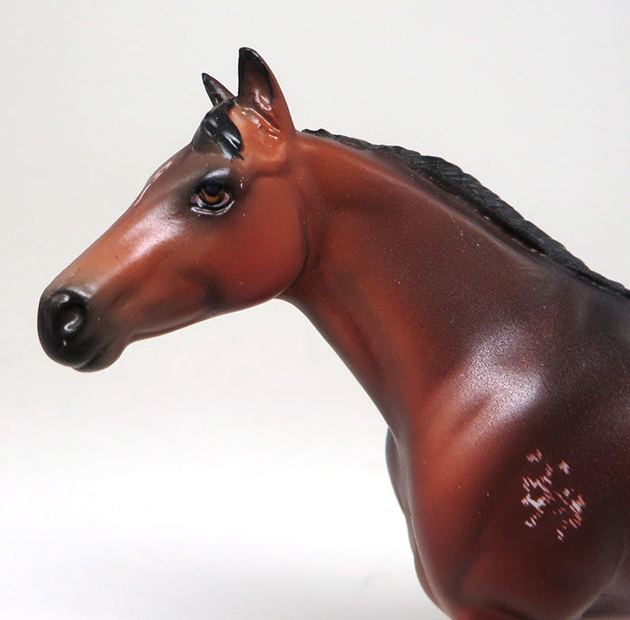 JUST CAUSE - OOAK BAY APPALOOSA STOCK HORSE CHIPS by SHEILA BISHOP - 1/25