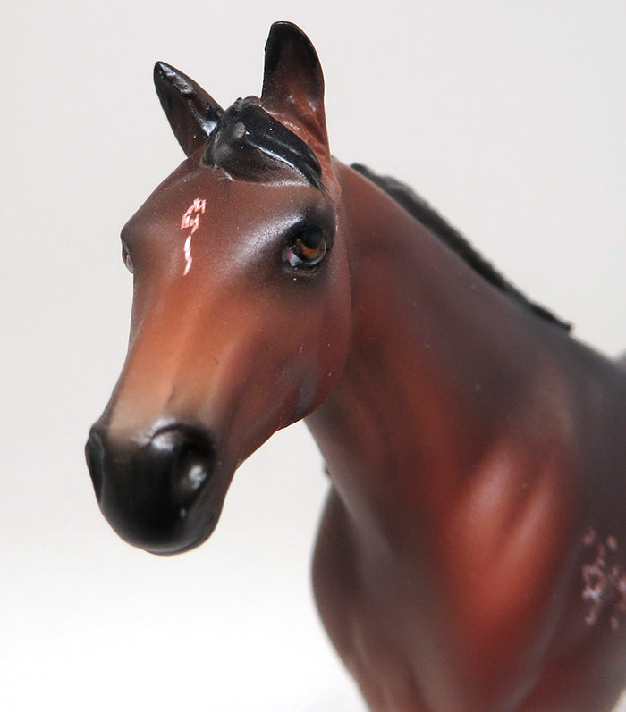 JUST CAUSE - OOAK BAY APPALOOSA STOCK HORSE CHIPS by SHEILA BISHOP - 1/25