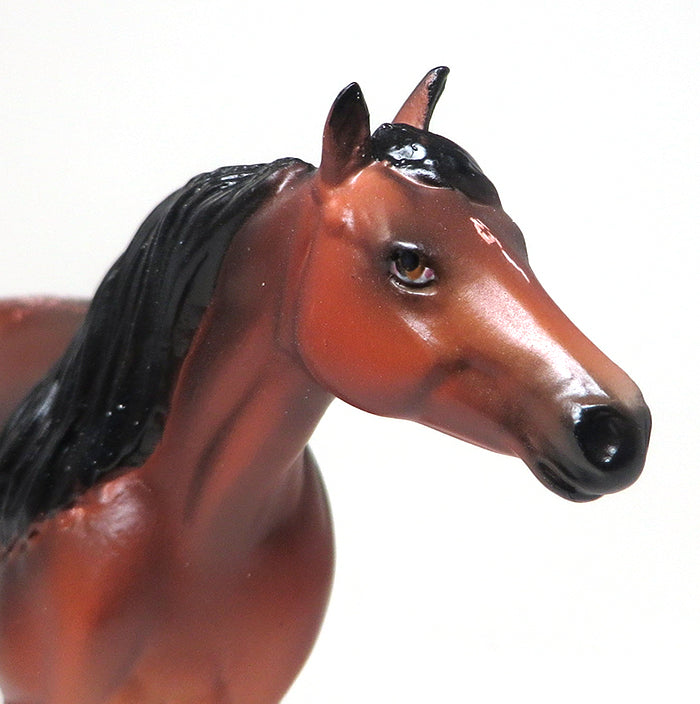 JUST CAUSE - OOAK BAY APPALOOSA STOCK HORSE CHIPS by SHEILA BISHOP - 1/25
