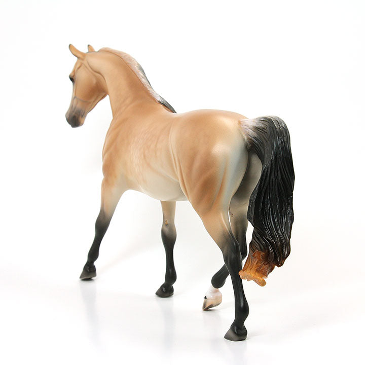 Buckskin Pony by Caroline Boydston