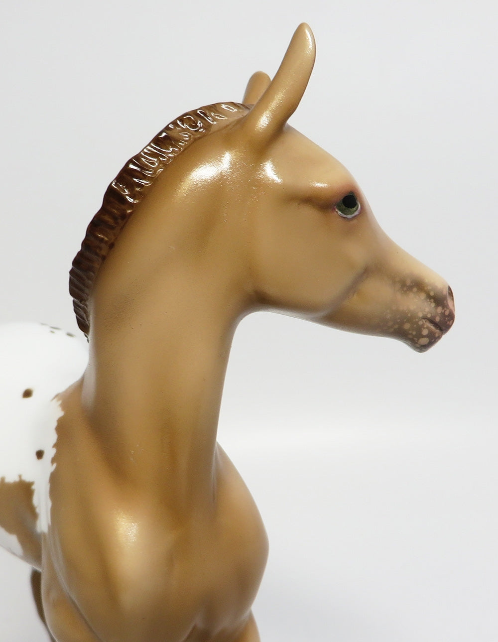 LADY INVITE~LE-3 CHAMPAGNE APPALOOSA FOAL MODEL HORSE 11/7/17