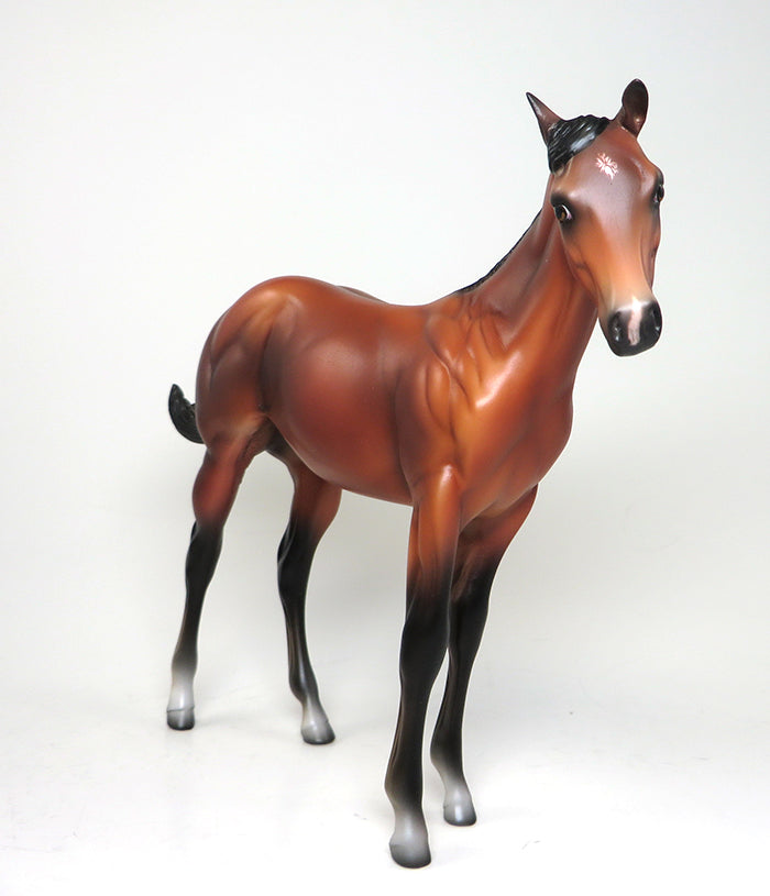 DREAM QUEEN - OOAK BAY WEANLING MODEL HORSE by SHEILA BISHOP - 1/22