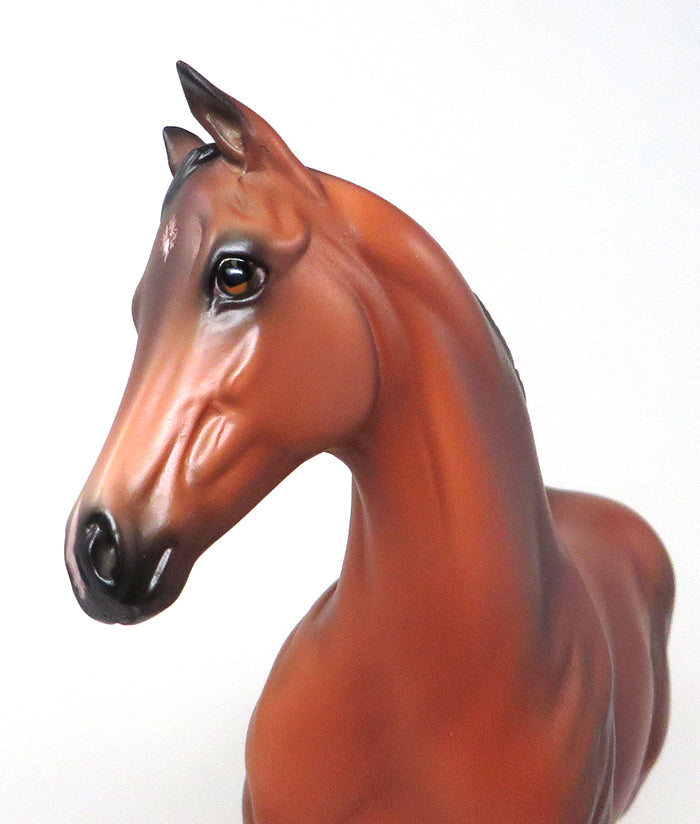 DREAM QUEEN - OOAK BAY WEANLING MODEL HORSE by SHEILA BISHOP - 1/22