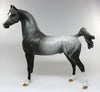 stonewall arabian