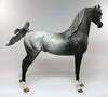 arabian stonewall peter stone